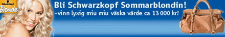 bannerliten2